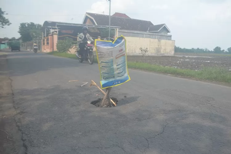 Kondisi Jalan Desa Kedunglosari Rusak Berat